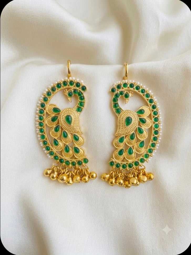 Royal Peacock